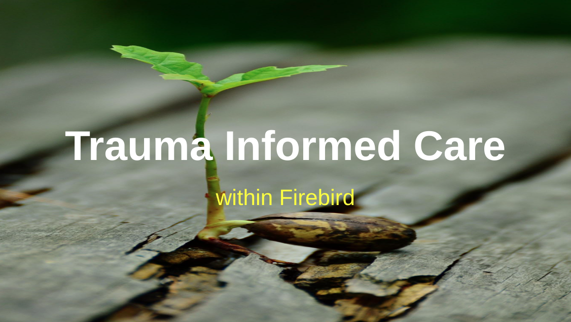Challenges and Strengths of Trauma Informed Care at Firebird